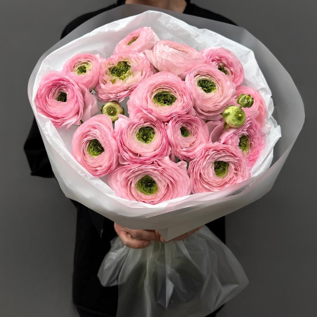 Extra-large luxury artisan mono bouquet featuring premium pink Cloni ranunculus with green centers wrapped in crisp white tissue and frosted matte paper held by a person by Lapin Flowers. Upscale elite floral delivery for Bethesda MD and Washington DC.⁠