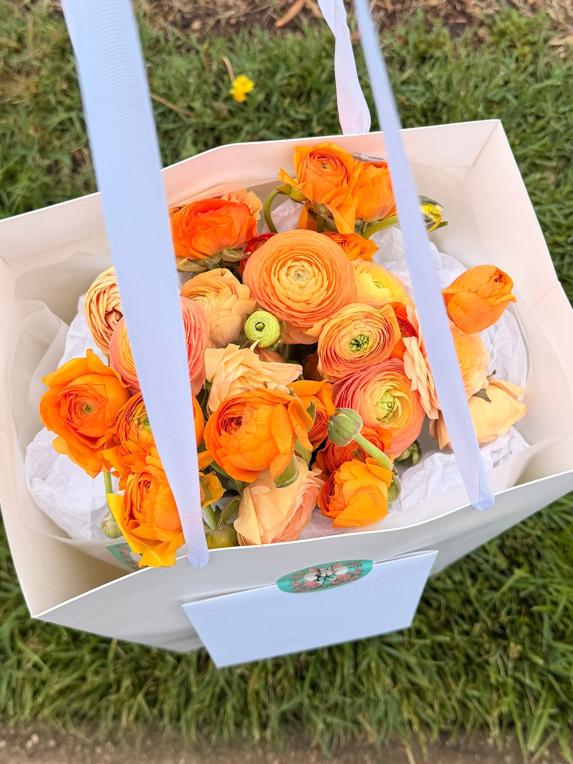 Luxury monochrome flower bouquet with 30 orange ranunculus in a premium white gift bag with handles by Lapin Flowers. Upscale chic flower delivery for Bethesda Maryland and Washington DC.