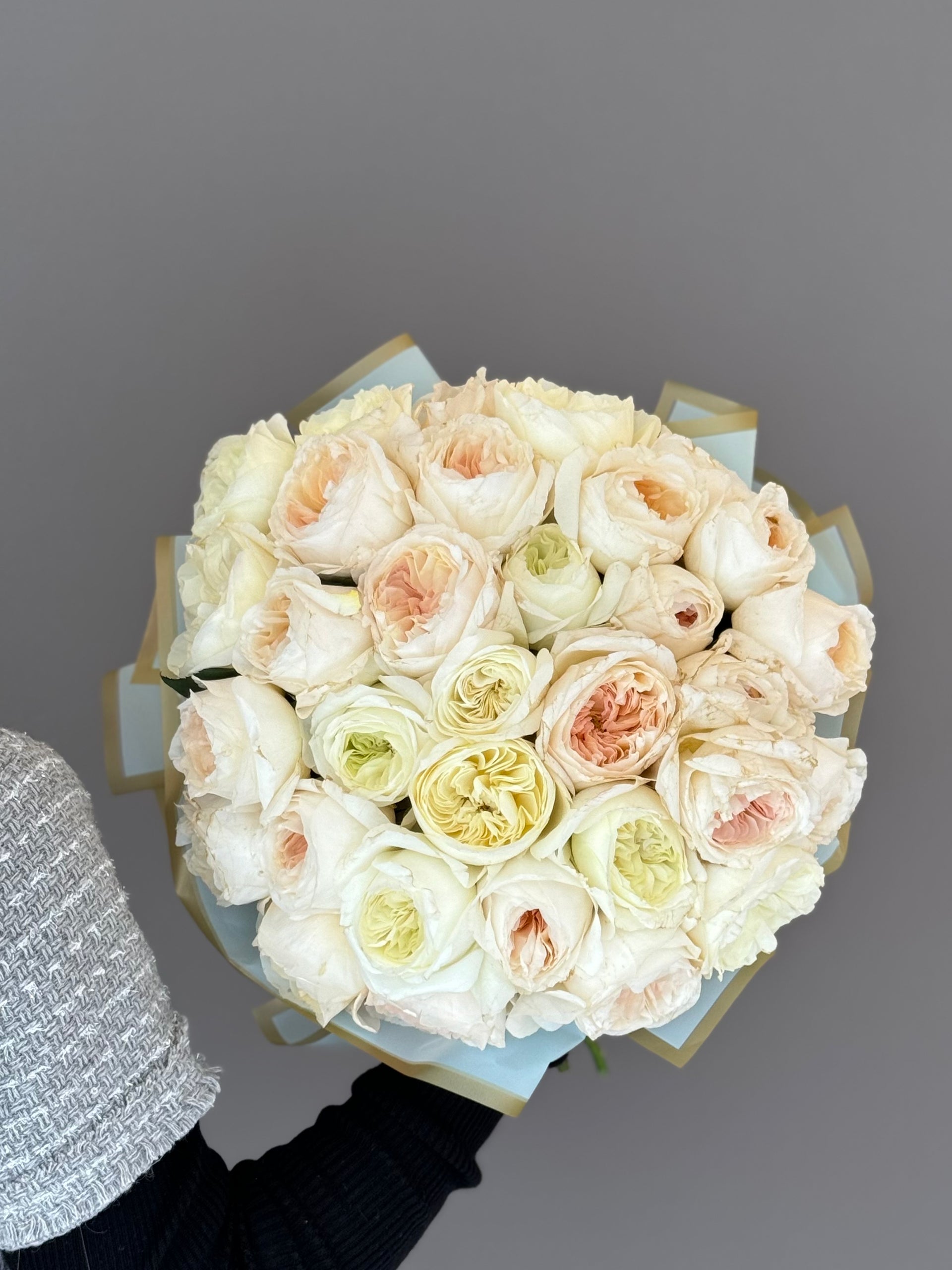 Garden Roses Blush Peach & Cream White. 3 dozen of stems. – Lapin