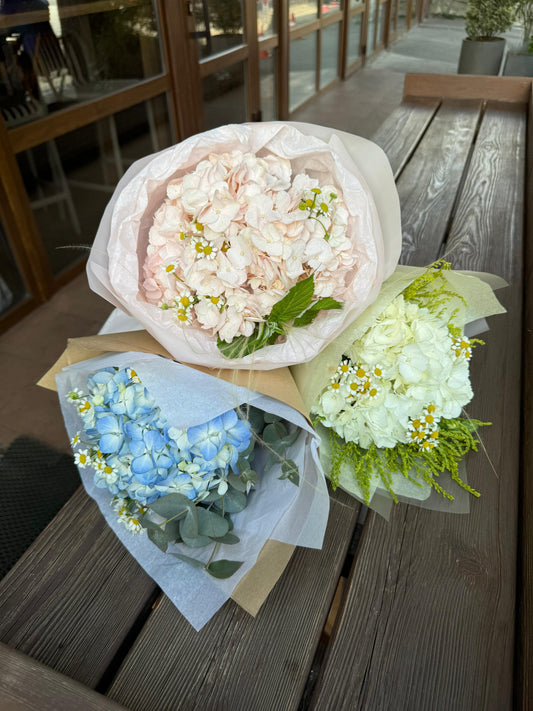 Pastel Clouds Collection Small