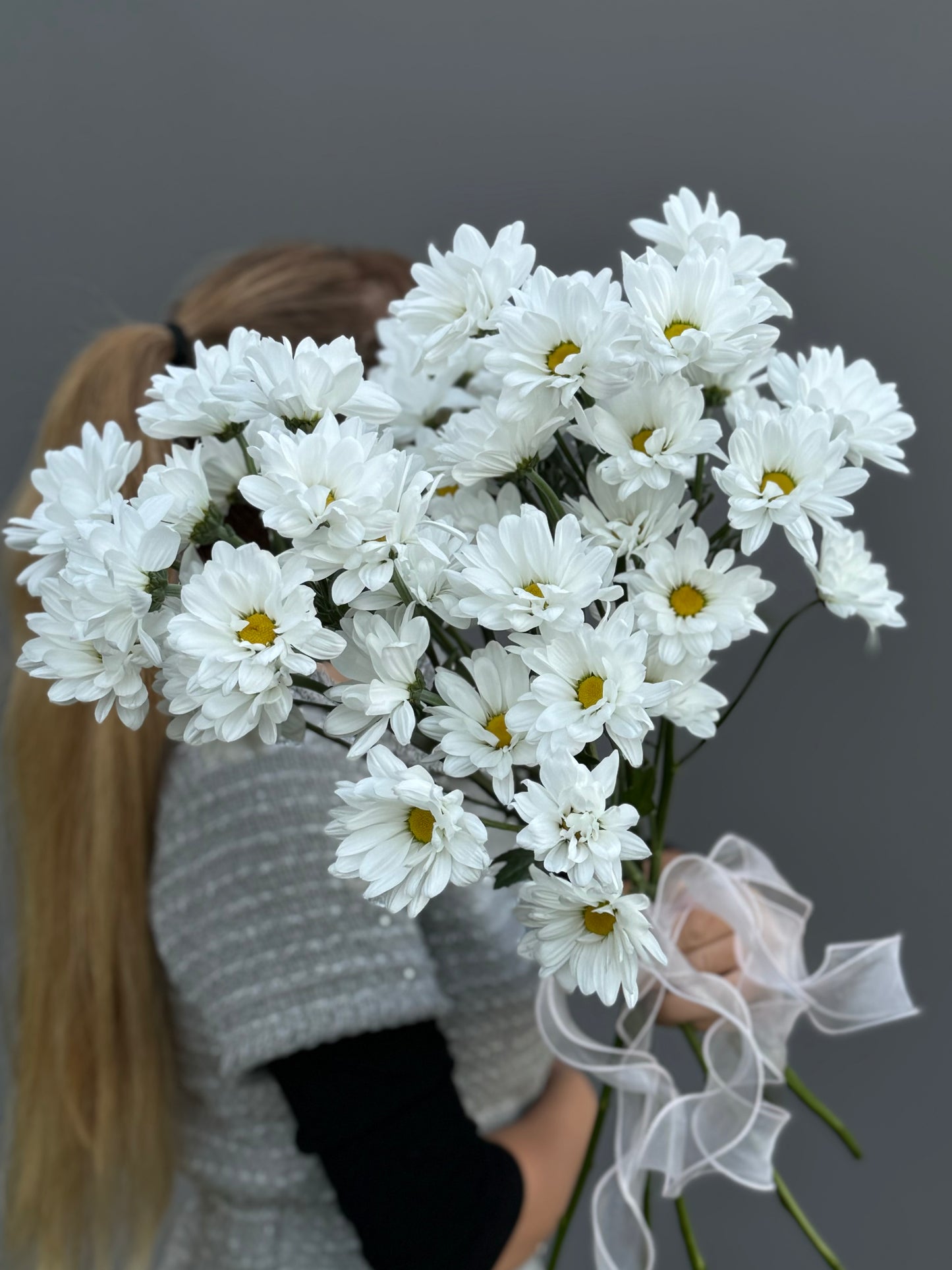 Pom White Daisy