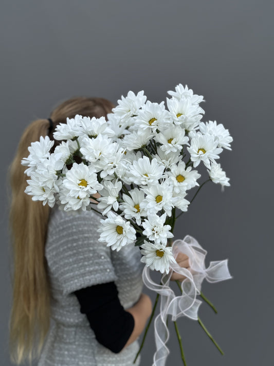 Pom White Daisy