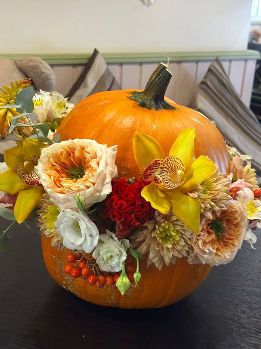 The Autumn Gala Gourd