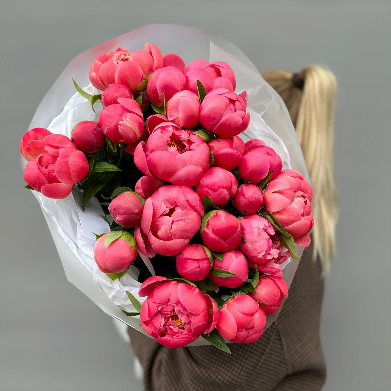 The Coral Sunset Premium Peony Collection